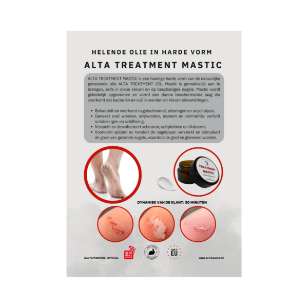 poster (A3) ALTA TREATMENT MASTIC
